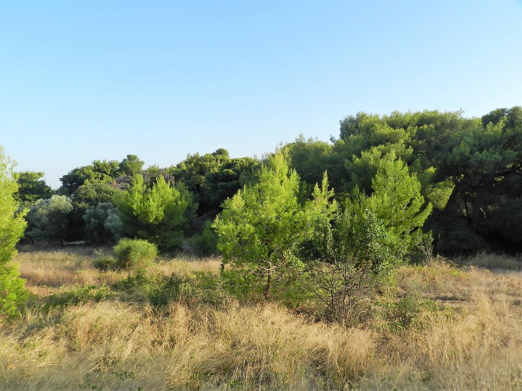 Villa Kristina - Artemida Luaran gambar